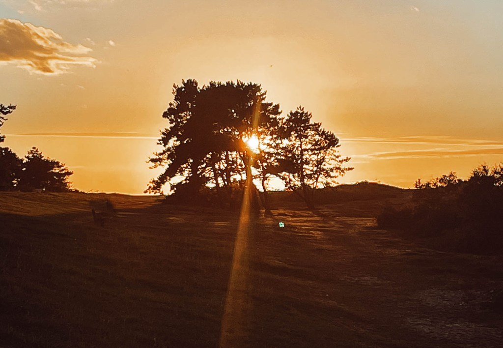 Sonnenuntergang auf Fehmarn