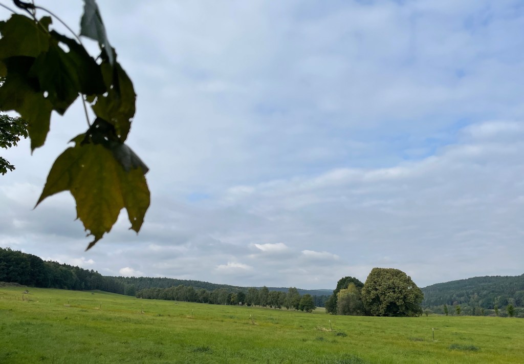 Die Route endet auf der Winterleitenstraße, Sächsische Schweiz