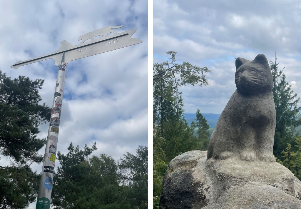 Besondere Highlights am Katzsteinfels, Sächsische Schweiz