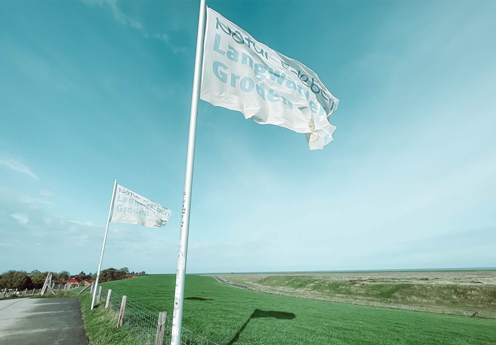 Nicht zu übersehen: die Langwarder Groden.
