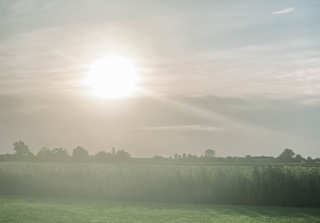 Sonnenaufgang über dem Deich von der Terrasse 