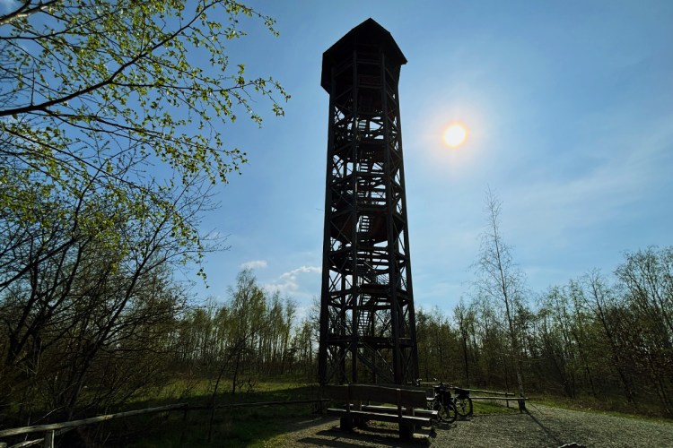Der "Haselbergturm" in der Königsbrücker Heide