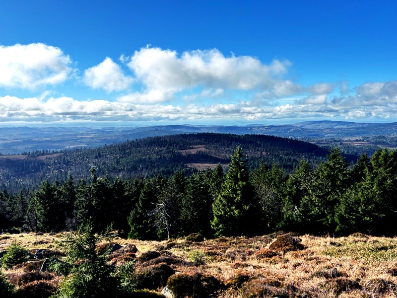 Hexentanz im Harz